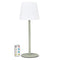 Outdoor LED Table Light with Remote - green